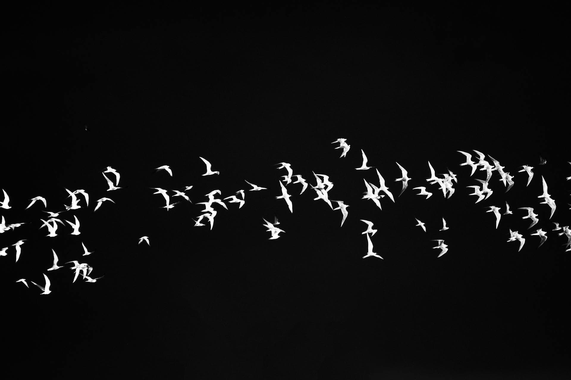 Migrating from WordPress to Headless CMS: A Modern Solution
